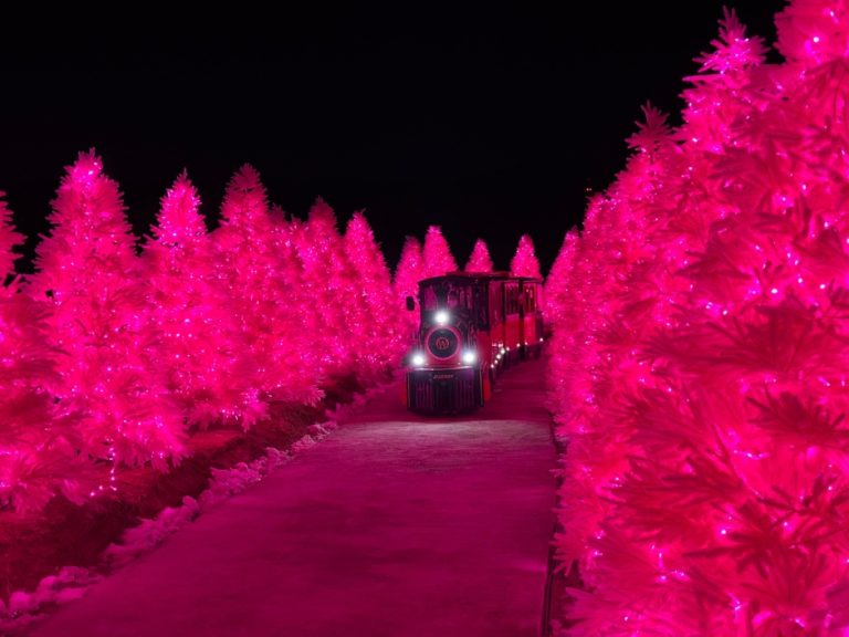 Herb Island Light Festival (허브아일랜드 불빛동화축제)