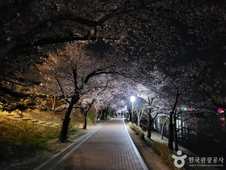 Bomunho Lake (보문호)