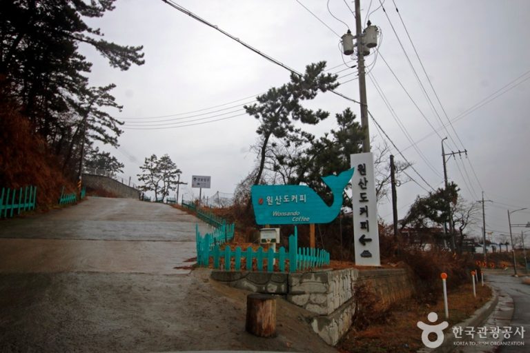 Wonsando Coffee (원산도커피)