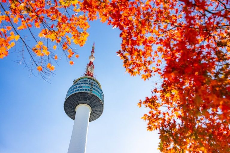 N Seoul Tower (남산서울타워)