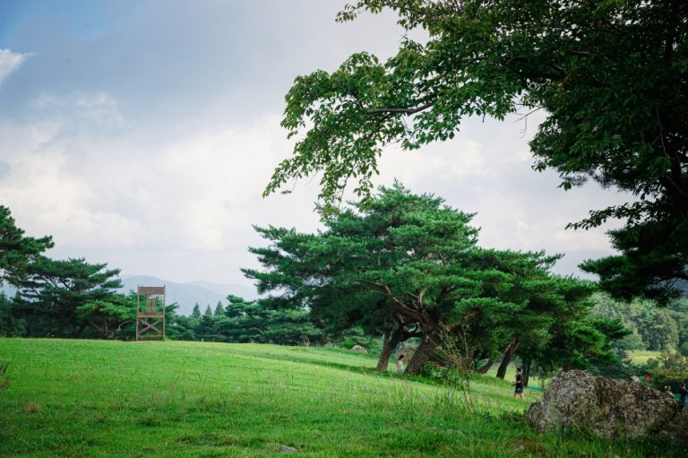 Hwarang Hill (화랑의언덕)