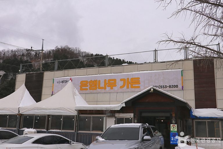 Banktree Garden (은행나무가든)