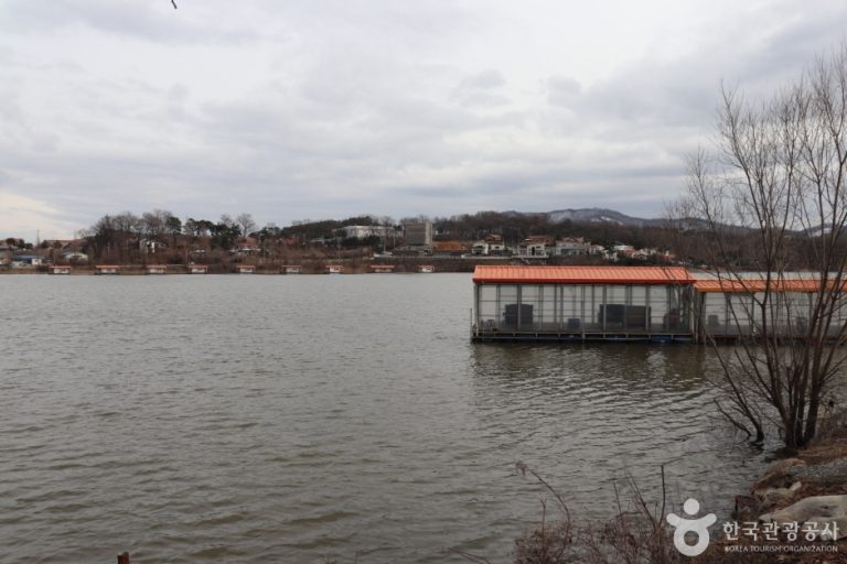 Bongjae Fishing Area (봉재낚시터)