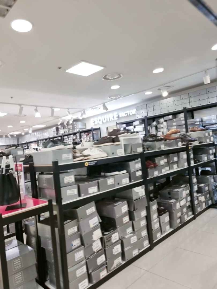 Esquire [Tax Refund Shop] (에스콰이아)