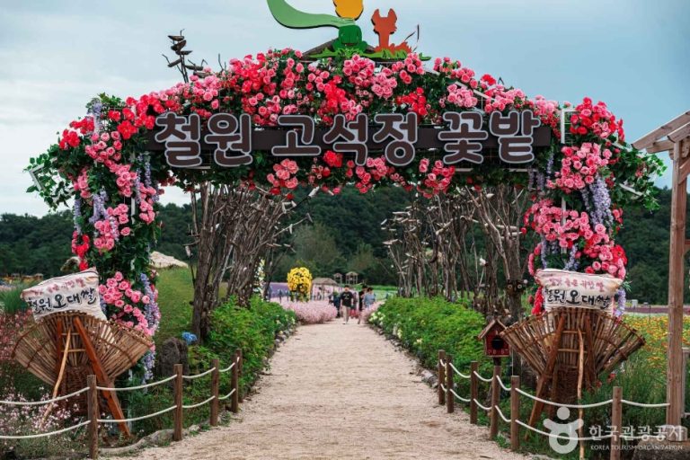 Goseokjeong Flower Field (고석정 꽃밭)