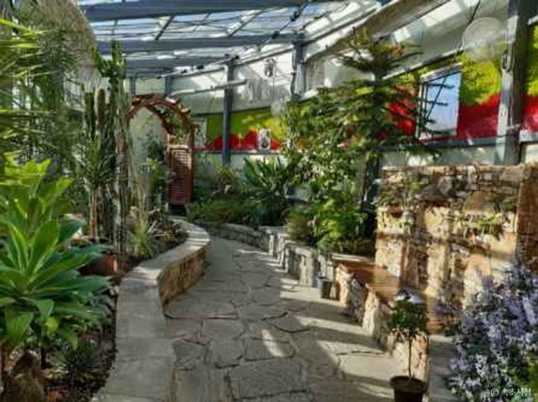 Seoraksan Botanical Garden (설악산 자생식물원)