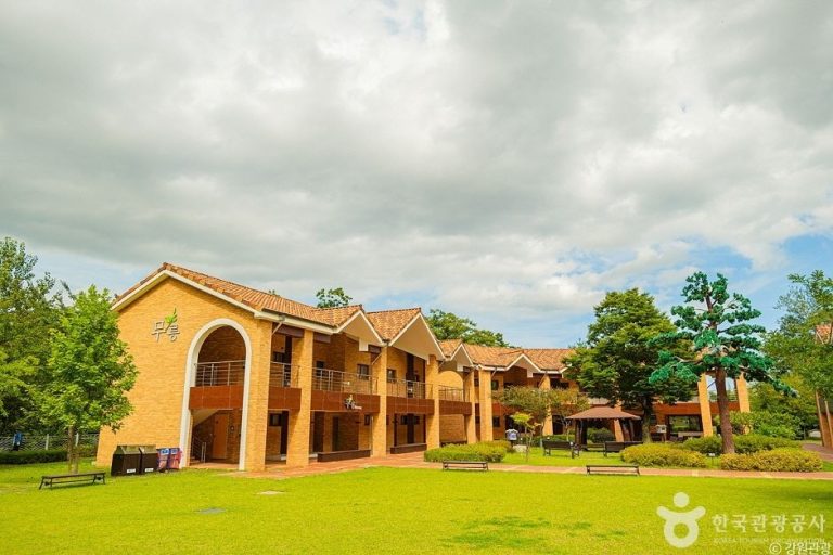 Donghae Mureung Health Forest (동해무릉건강숲)