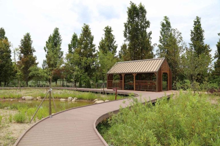 Suwon Arboretum Irwol (일월수목원)