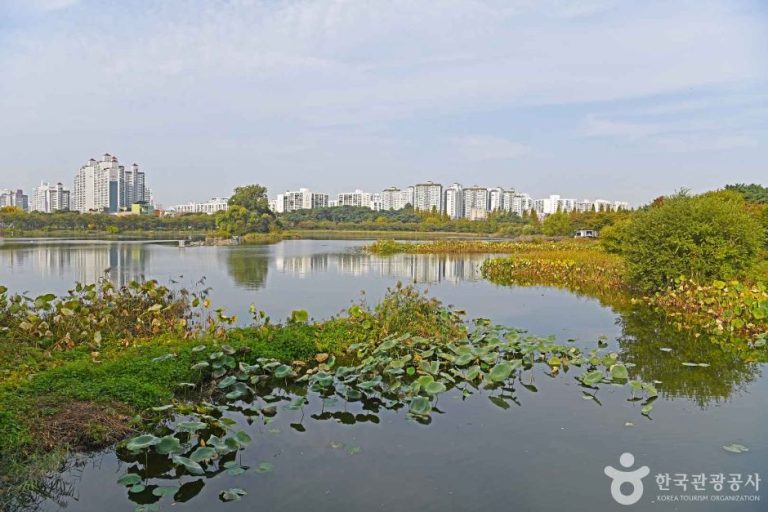 Manseokgeo Park (만석거공원)