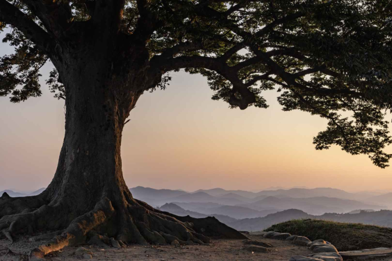 Buyeo Garimseong Fortress (부여 가림성)