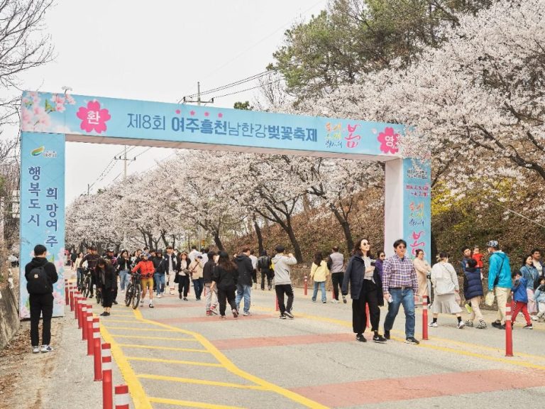 Yeoju Heungcheon Namhangang River Cherry Blossom Festival (여주흥천남한강 벚꽃축제)