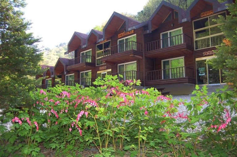 Micheongol Recreational Forest (국립 미천골자연휴양림)