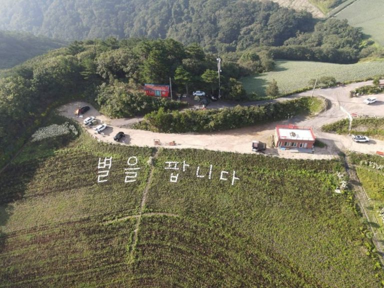 Gangneung Anbandegi Tourist Farm (강릉안반데기관광농원)