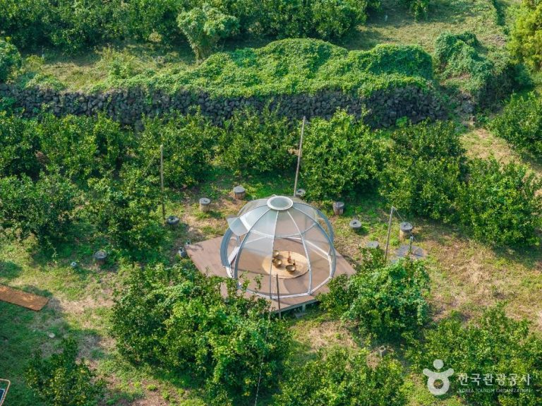 Jewon Haneul (제원 하늘농원)