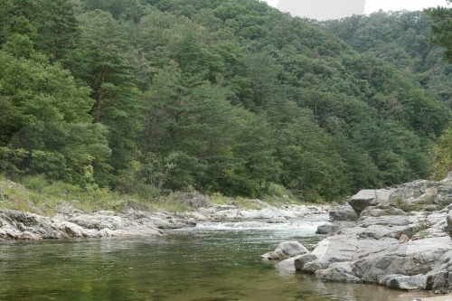 Beopsuchigyegok Valley (법수치계곡)