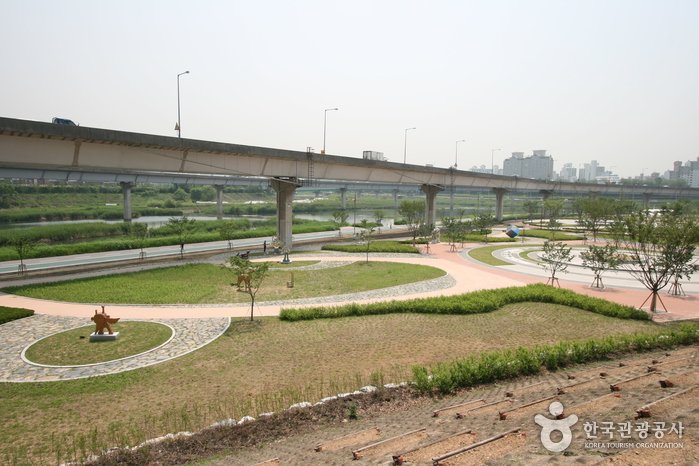 Salgoji Sports Park (살곶이 체육공원)