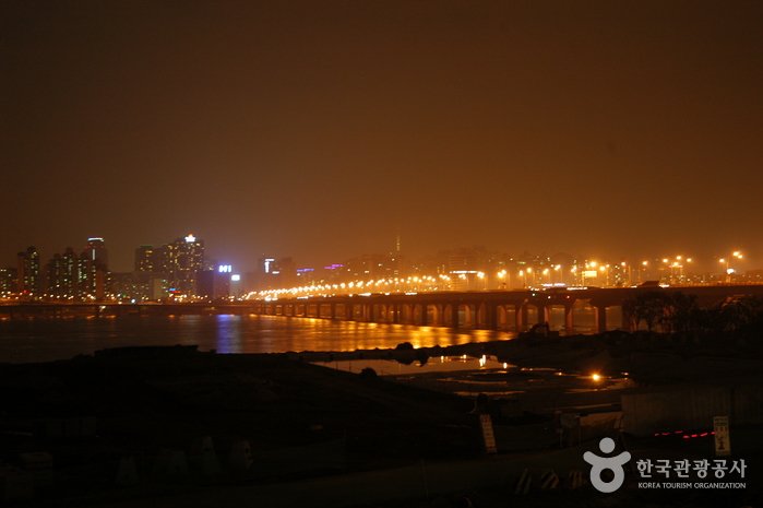 Mapodaegyo Bridge (마포대교 야경)