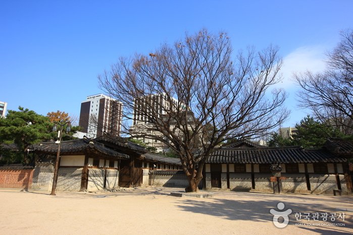 Unhyeongung Royal Residence (서울 운현궁)