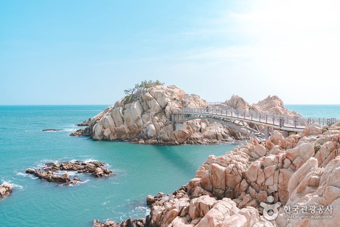 Daewangam Park (대왕암공원)