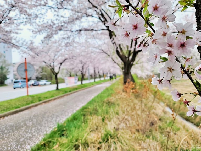Pyeongtaekho Art Park (평택호예술공원)