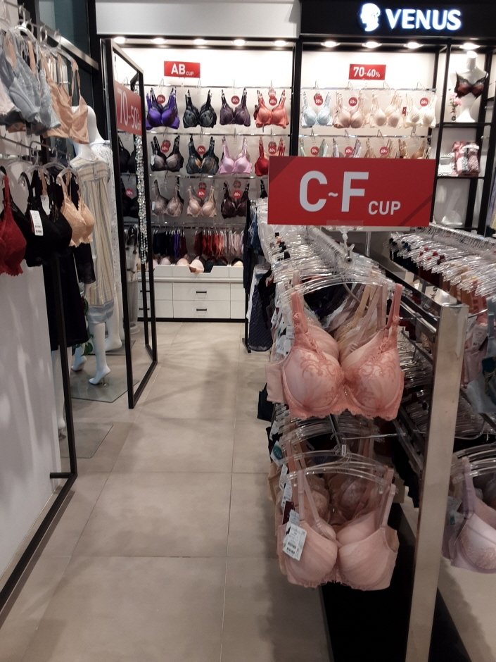 Wacoal – Lotte Paju Branch [Tax Refund Shop] (와코루 롯데파주)