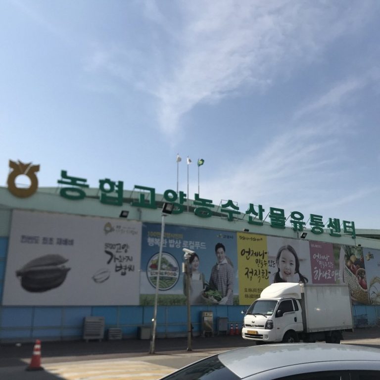Nonghyup Hanaro Distribution Center – Ilsan Branch [Tax Refund Shop] (고양농협유통센터 일산)
