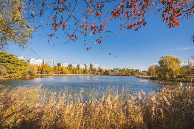 Ilsan Lake Park (일산호수공원)