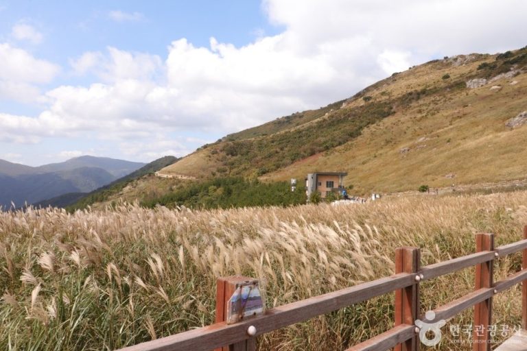 Twelve Scenic Places of Ulsan City (울산 12경)