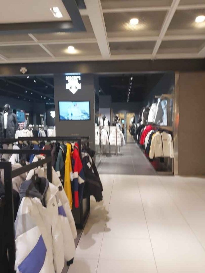 Descente [Tax Refund Shop] (데상트)