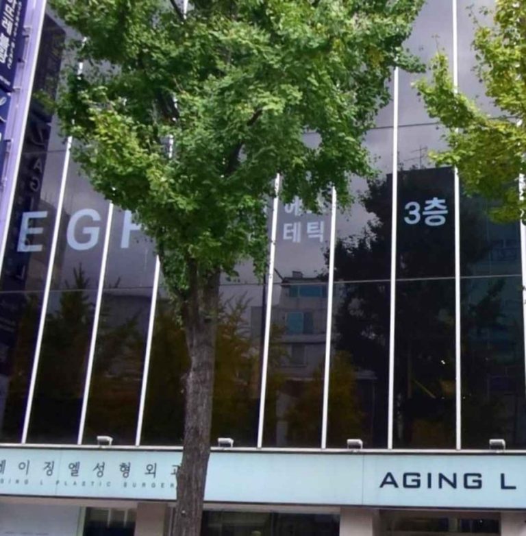 Aging L Plastic Surgery [Tax Refund Shop] (에이징엘성형외과의원)