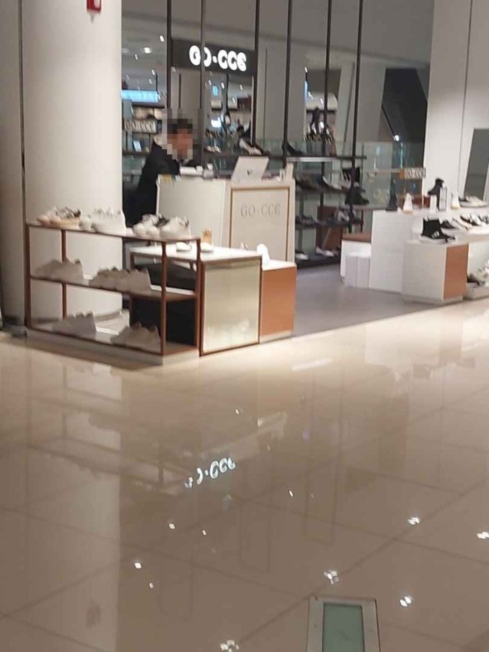 Gocce [Tax Refund Shop] (고세)