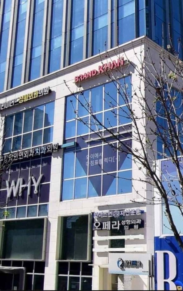 Opera Plastic Surgery [Tax Refund Shop] (오페라성형외과의원)