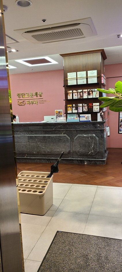 Cheongdam Gowoonsesang Dr.G Dermatology [Tax Refund Shop] (청담고운세상닥터지피부과의원)