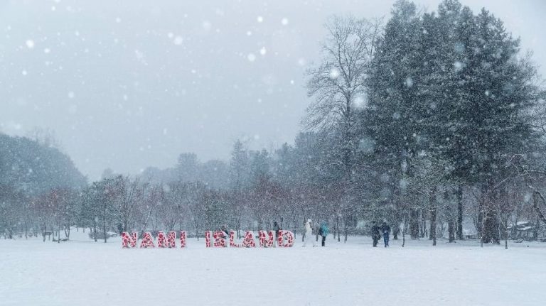 Nami Island (남이섬)