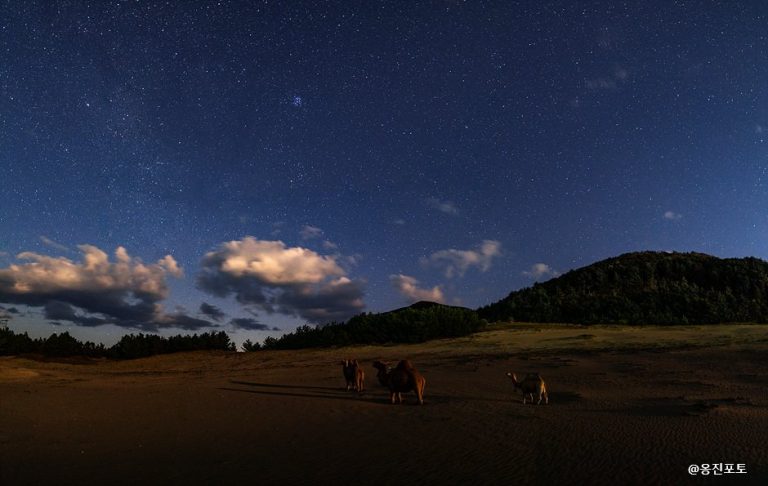 Daecheongdo Island (대청도)