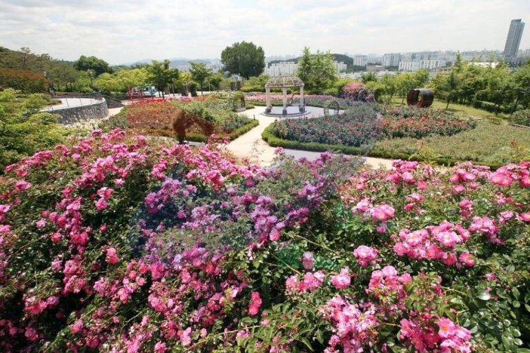 Munhak Rose Park (장미공원)