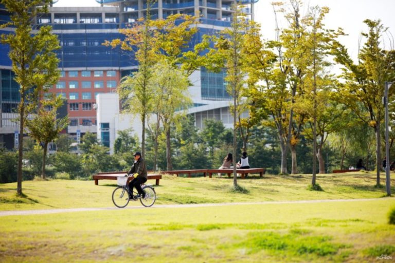 Songdo Dog Park (송도 도그파크)