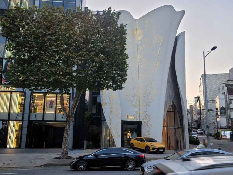 House of Dior [Tax Refund Shop](하우스 오브 디올)