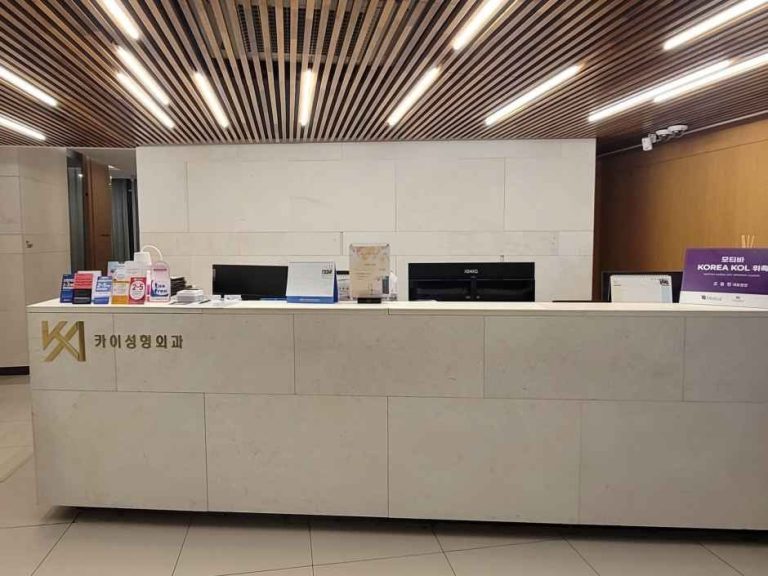 Kai Plastic Surgery [Tax Refund Shop](카이성형외과의원)