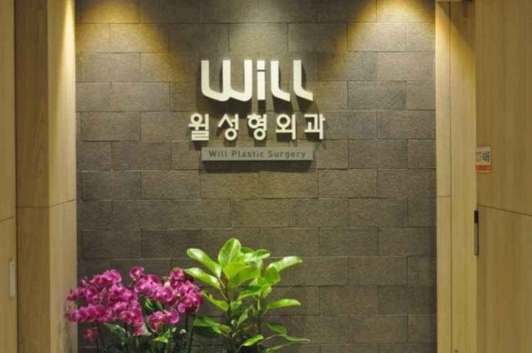 Will Plastic Surgery Clinic [Tax Refund Shop] (윌성형외과의원)