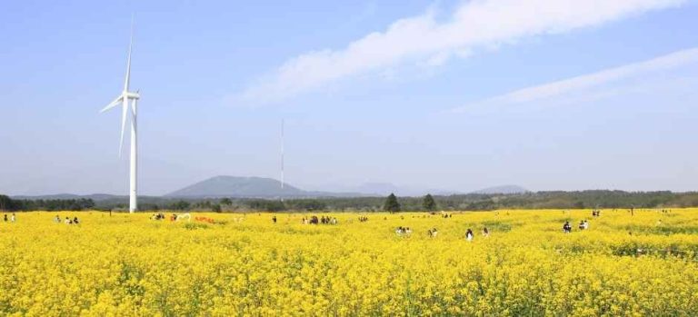 LOTTE Mart Geumcheon Branch [Tax Refund Shop](롯데마트 금천점)