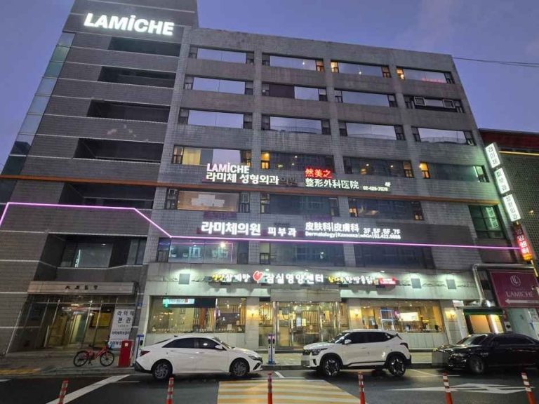Lamiche Plastic Surgery Cliic [Tax Refund Shop](라미체성형외과의원)