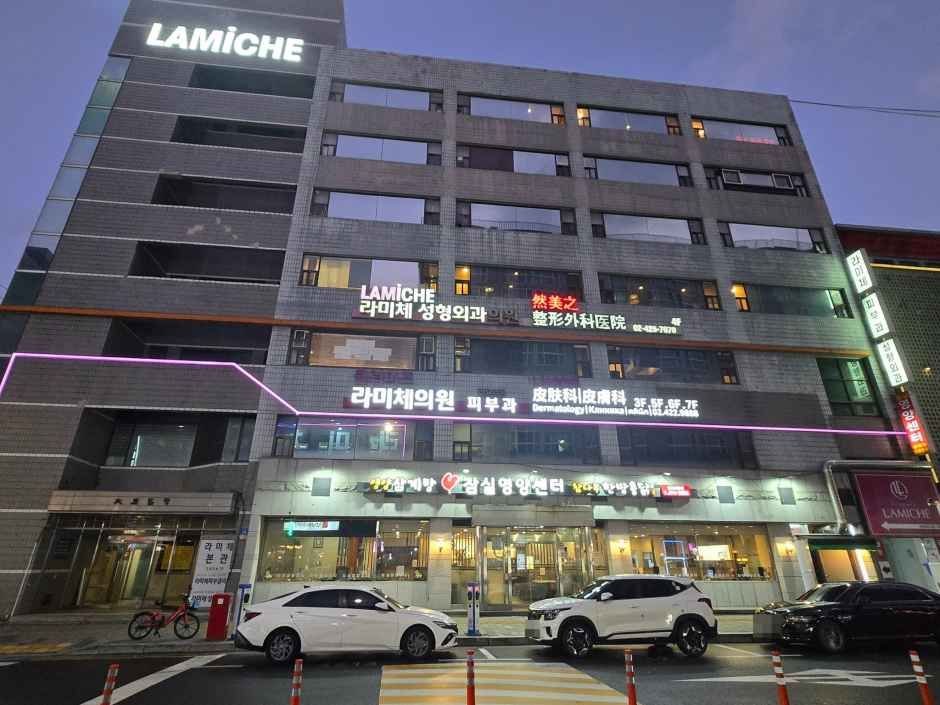 Lamiche Plastic Surgery Cliic [Tax Refund Shop](라미체성형외과의원)