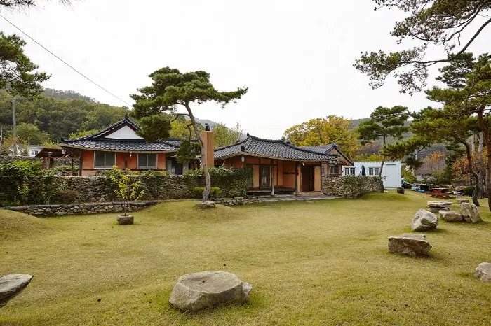 Golden Grass (옛날에금잔디)
