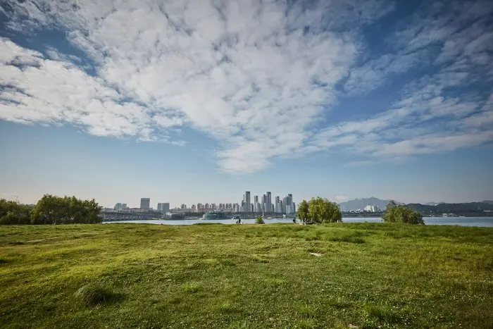 Ichon Hangang Park (이촌한강공원)