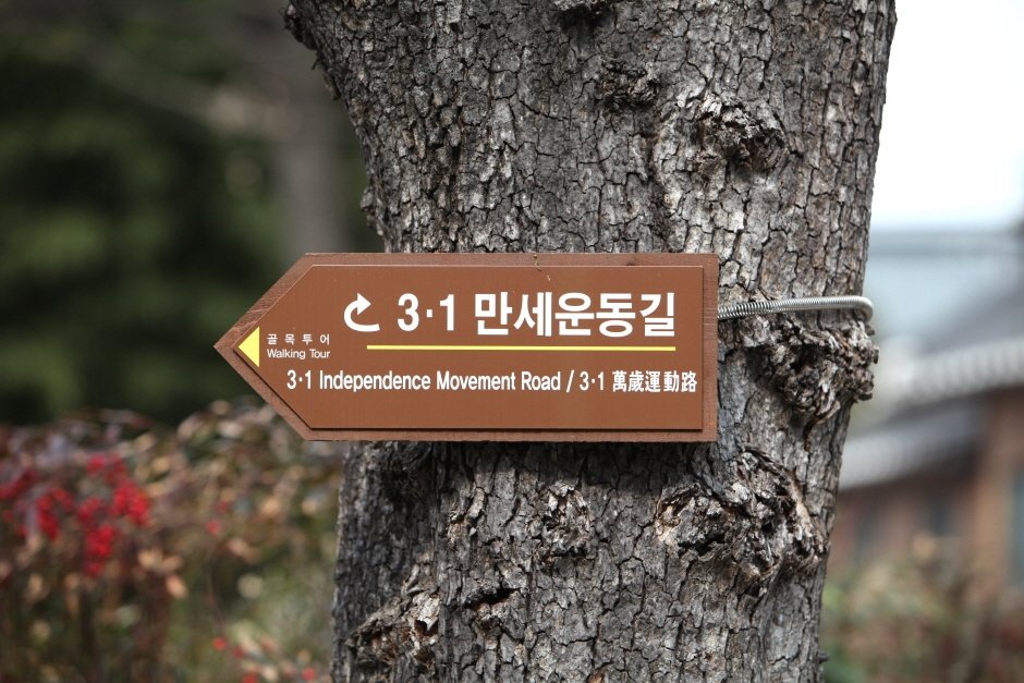 March 1st Independence Movement Road (3·1만세운동길)