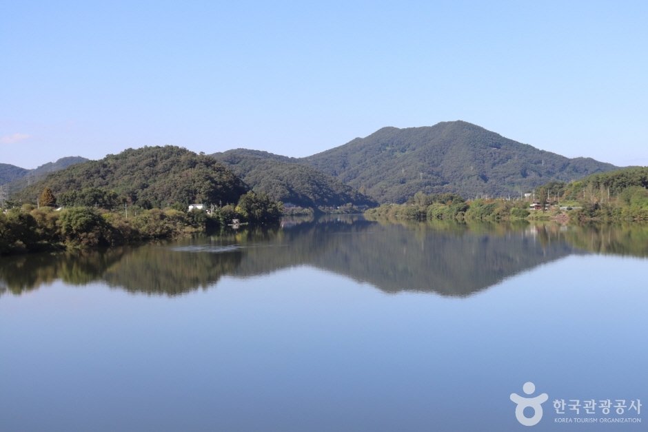 Red Leaf Willow Habitat (왕버드나무군락지)
