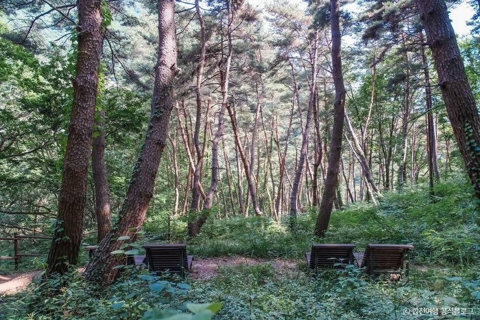 Odosan Healing Forest (오도산 치유의 숲)