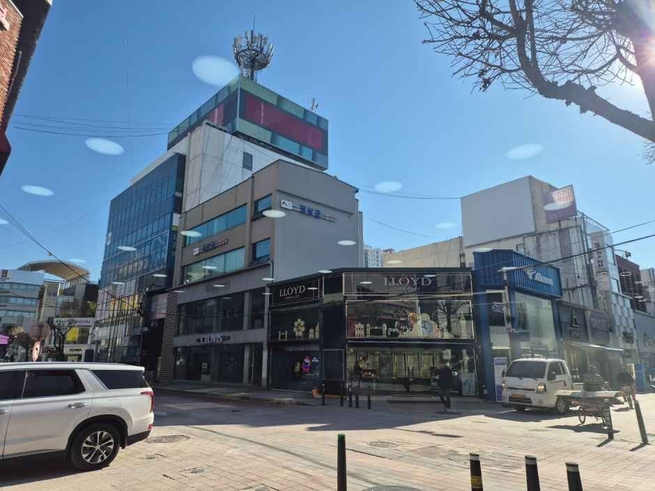 LLOYD Cheongju Branch [Tax Refund Shop](로이드 청주점)