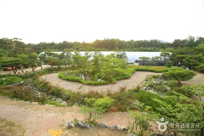 Ulsan Theme Botanic Gardens & Arboretum (울산테마식물수목원)